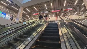 ЖДЁМ «ЛАСТОЧКУ». ЖД ВОКЗАЛ АДЛЕР. ПРИВОКЗАЛЬНАЯ ПЛОЩАДЬ. 25 НОЯБРЯ 2025 ГОДА.