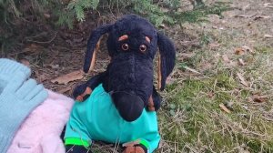 Вася гуляет по лесу .