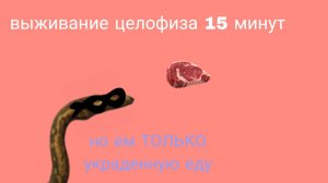 Выживание за целойиза но ем только украденную еду!