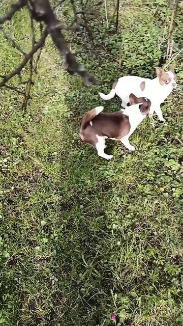 #свобода #дача #муравейник #перваяпоездка