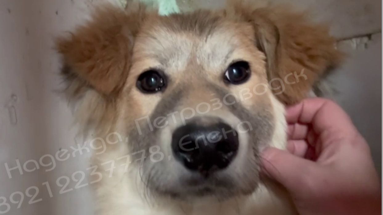 Встреча Левы с Леной. Начало пути к жизни без боли