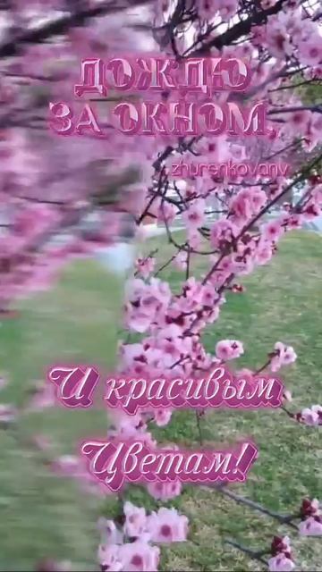 Добрая песня для всех .2026 год, апрель .из инета. ДьяченкоЛГ.