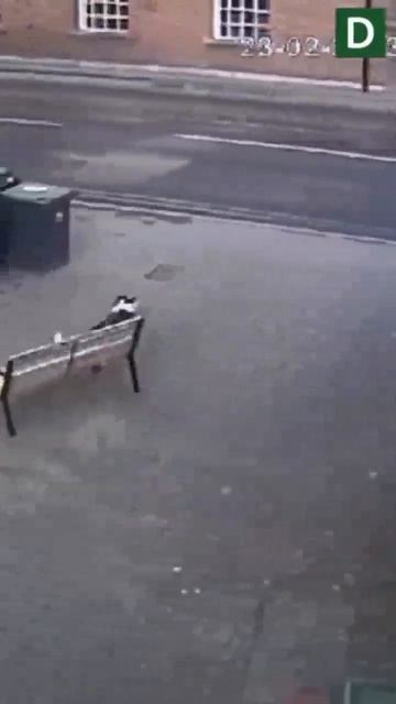 Подумаешь лавка