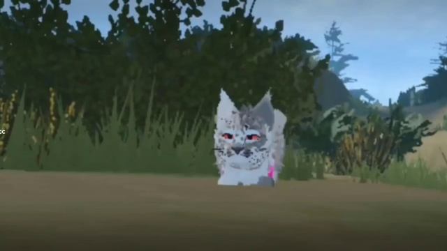 уже взяла с моего акка