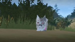 уже взяла с моего акка