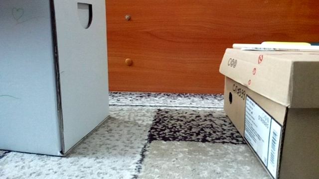 Школа животных! Загадочный зверь 😱😱😱! Пришлось вызывать скорою😱! 
История с учениками!🩷❤️🌺