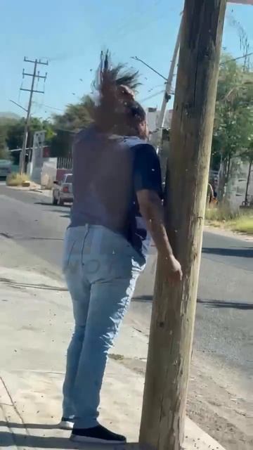 Одни мухи в голове