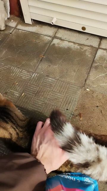 PXL_20260426_093217079