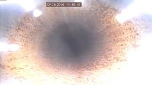 Вор обл Бобров 5