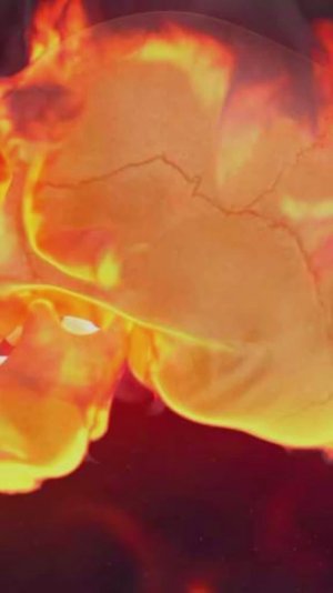 Чисто внешка