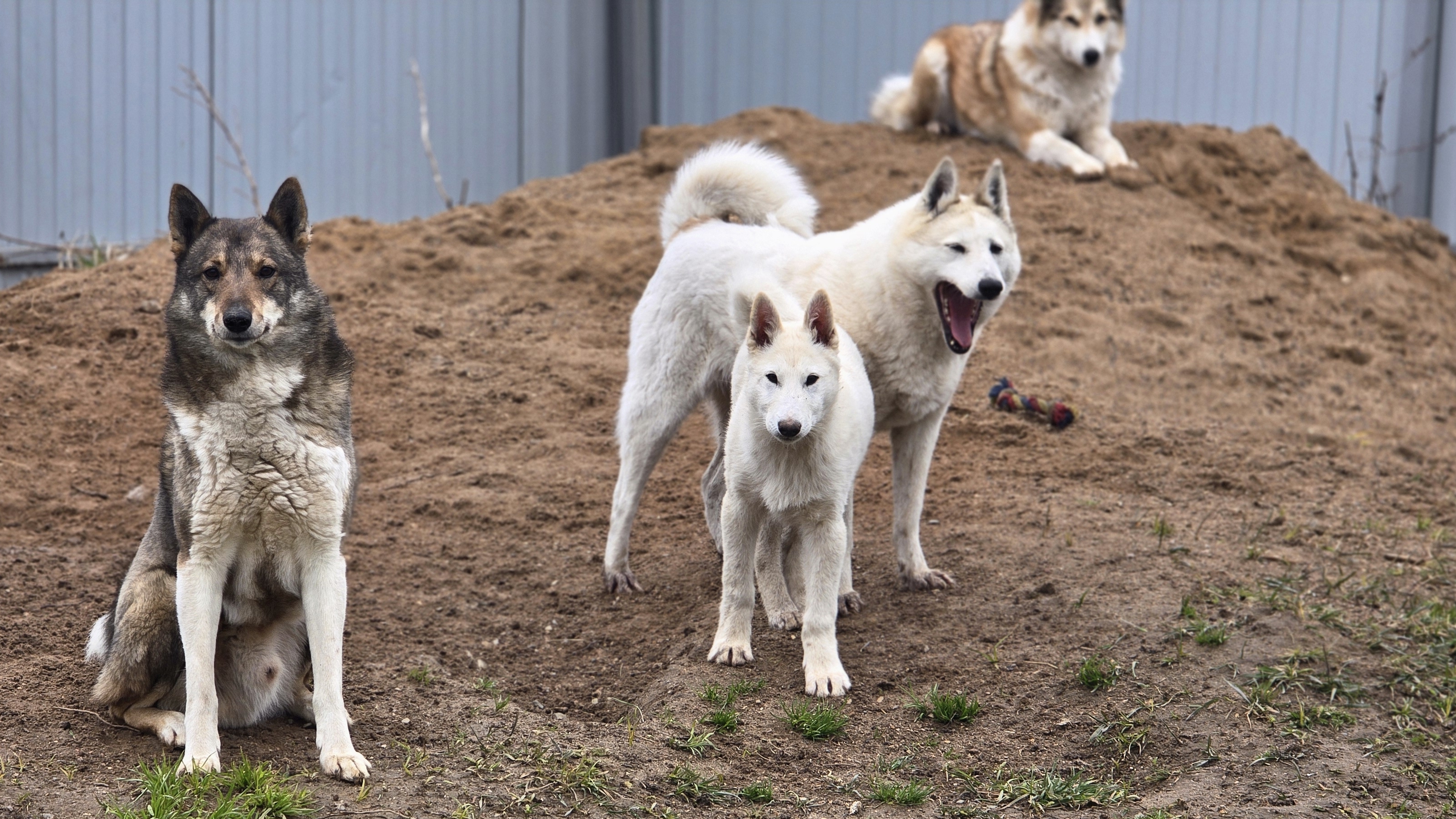 Выходные раскопки