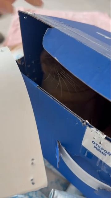 Video_2026-03-09_13-47-45