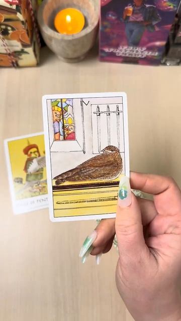 Чего ждать от любимого в ближайшие дни_ #гадание #tarot #мистика #раскладтаро #рек