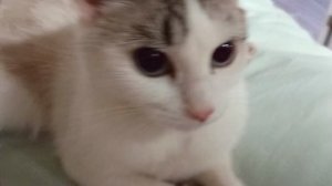 Брат бомжа пришёл мстить!😈😈😈