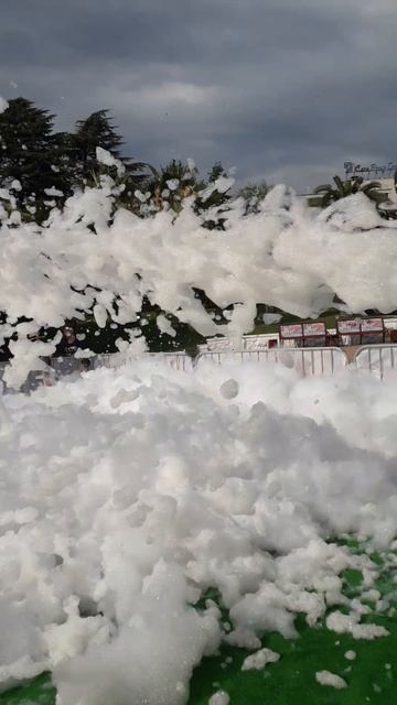 пеная вечеринка лето сочи аниматоры