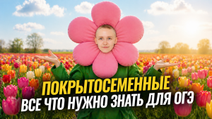 Отдел Цветковые | Разбор для ОГЭ по биологии | Елена Зеленская | Умскул