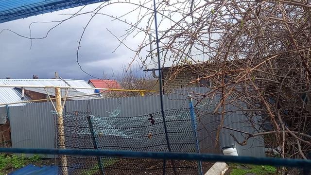 То дождь, то снег