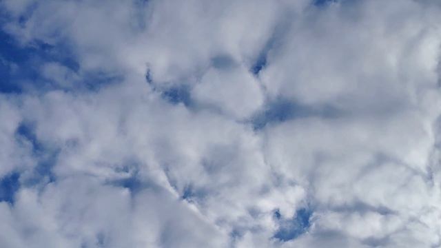 Раннее утро в поле ( 25 апреля)