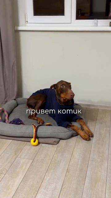 Гуляла мать-горе в семье🫢))