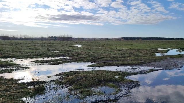 Раннее утро ( 25 апреля)