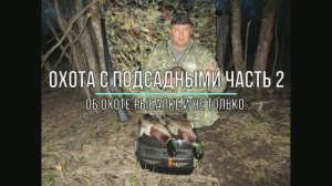 Охота с подсадными часть 2.