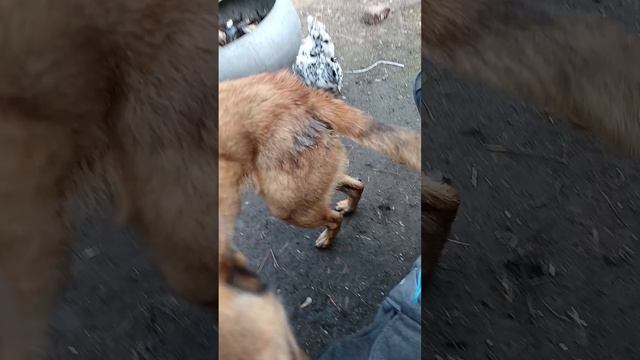 26.04.2026. Кайфодворик.)