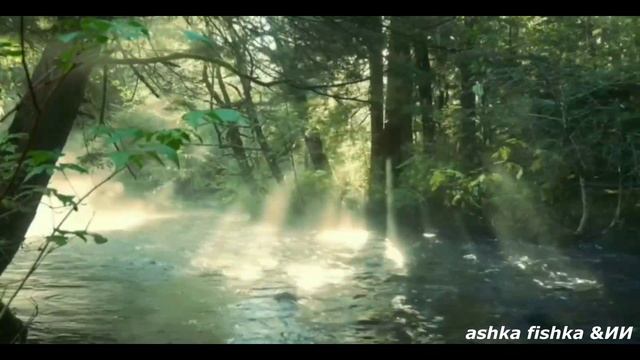 VID_20260425_224658_806.mp4