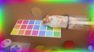 Приключение хомячка в поисках сокровищ — незабываемое приключение! часть 6