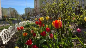 Продукты из магазина Метро с доставкой на дом.🤗 Обзор покупок, цены.🧐 Калининград.