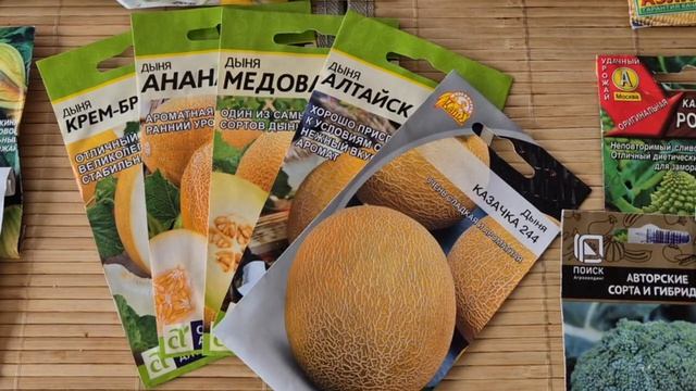 Обзор семян для посева на рассаду 28 апреля. Огурцы, кабачки, капуста, дыни, арбузы, кукуруза