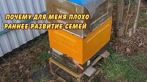 пчеловодство, почему для меня плохо раннее развитие семей