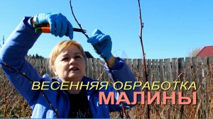 🌿Весенняя ОБРАБОТКА и ПОДКОРМКА МАЛИНЫ!