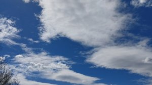 Прекрасный денёк 25 апреля! Сею капусту и цветы