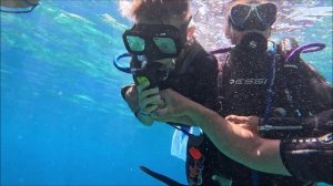 6. Египет. Дайвинг.