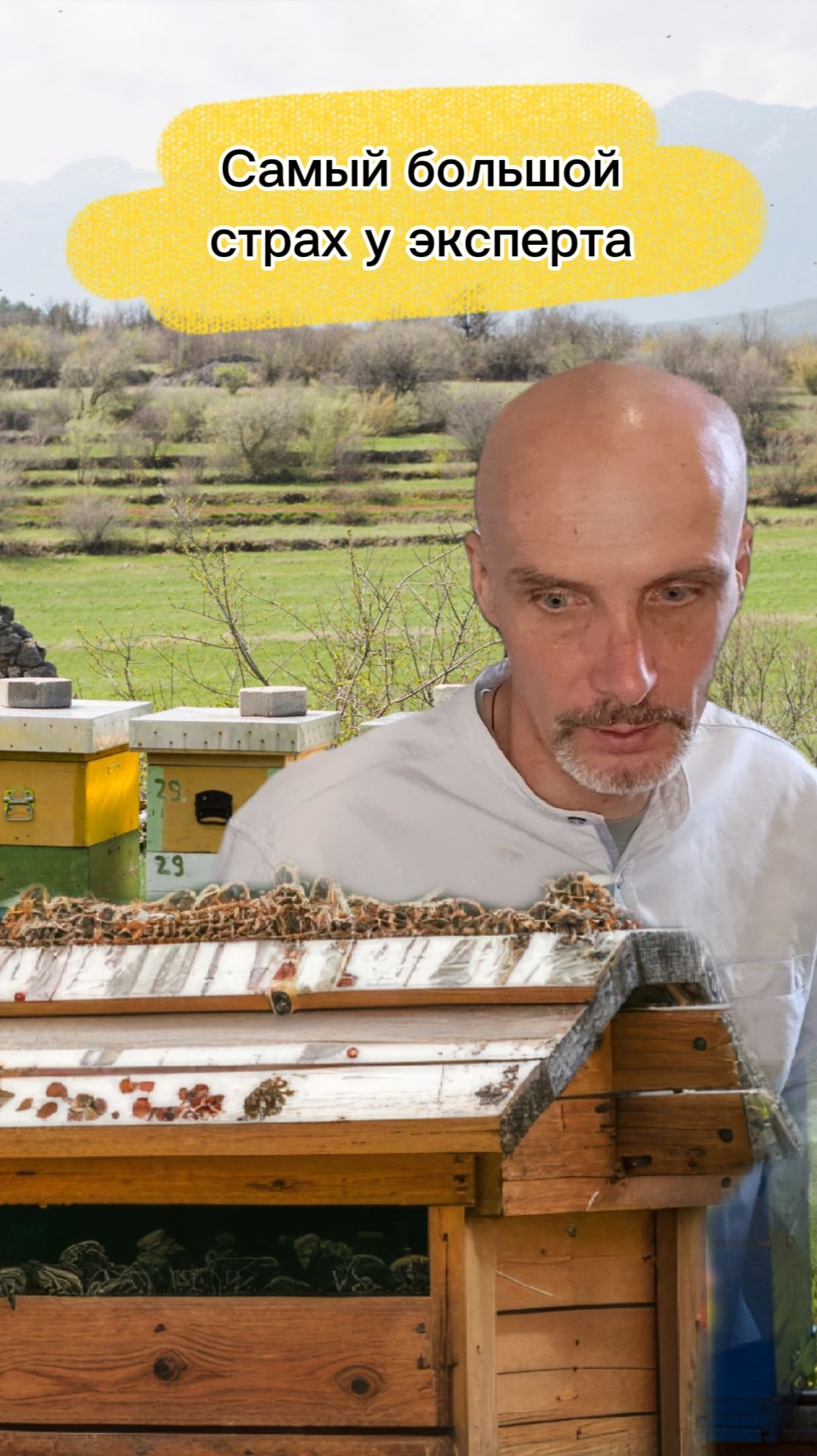 Какой самый большой страх у экспертов (психологов, коучей, консультантов)?