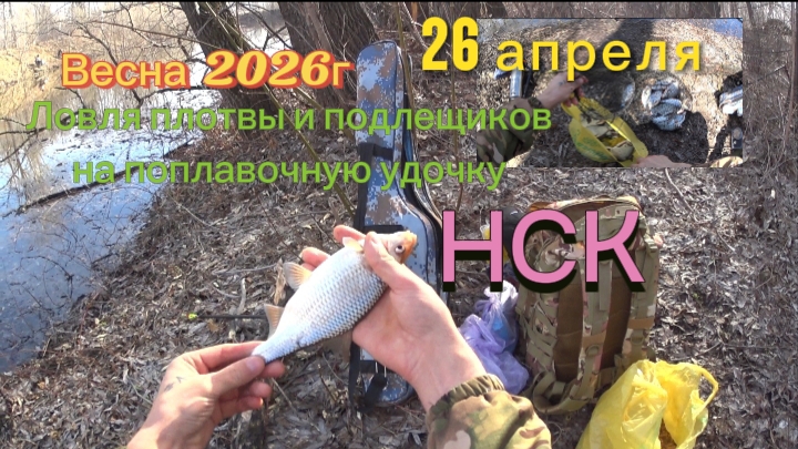 Ловля плотвы и подлещиков на поплавочную удочку в Новосибирске. Весна 2026 смотреть онлайн
