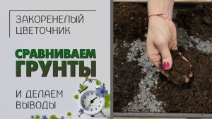 Все ли грунты одинаково полезны? Обзор универсальных грунтов для комнатных растений