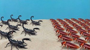 10 скорпионов против 100 тараканов! Кто победит?