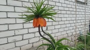 Так - очередной выброс мыслей о житие бытие.