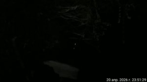 20.04.2026 лай собаки ночью. Результат деятельности полиции. Оренбург.