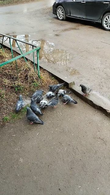 PXL_20260426_085845918