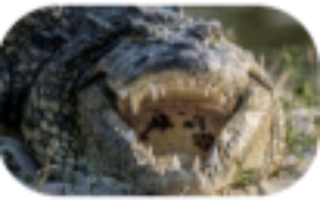 утренний марафон