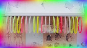 Приключения хомяков Невероятное испытание в лабиринте! часть 1