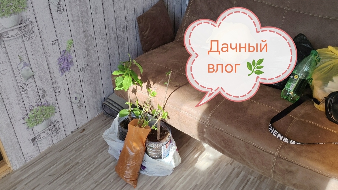 Дача / Дачный влог☺️🌿