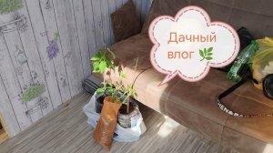 Дача / Дачный влог☺️🌿