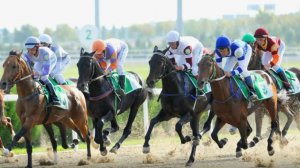 Главные скачки года пройдут в Туркменистане в День ахалтекинского скакуна