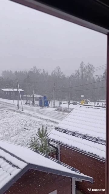 Снегопад вновь окутал Петербург и Ленобласть