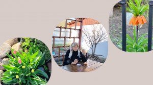 Нет спасения от ветра)) Первые цветочки))