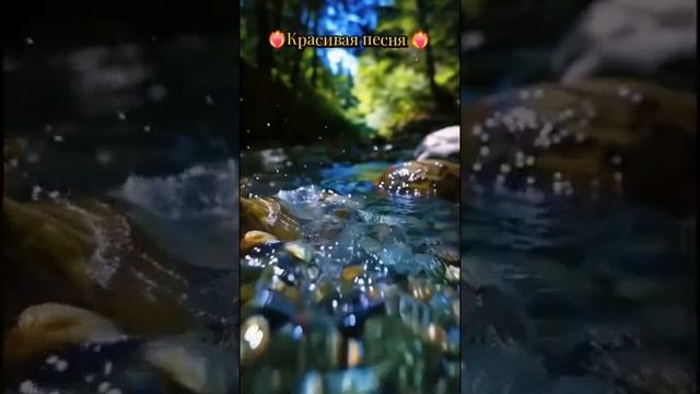 Suno Ai - Тебе моя молитва »