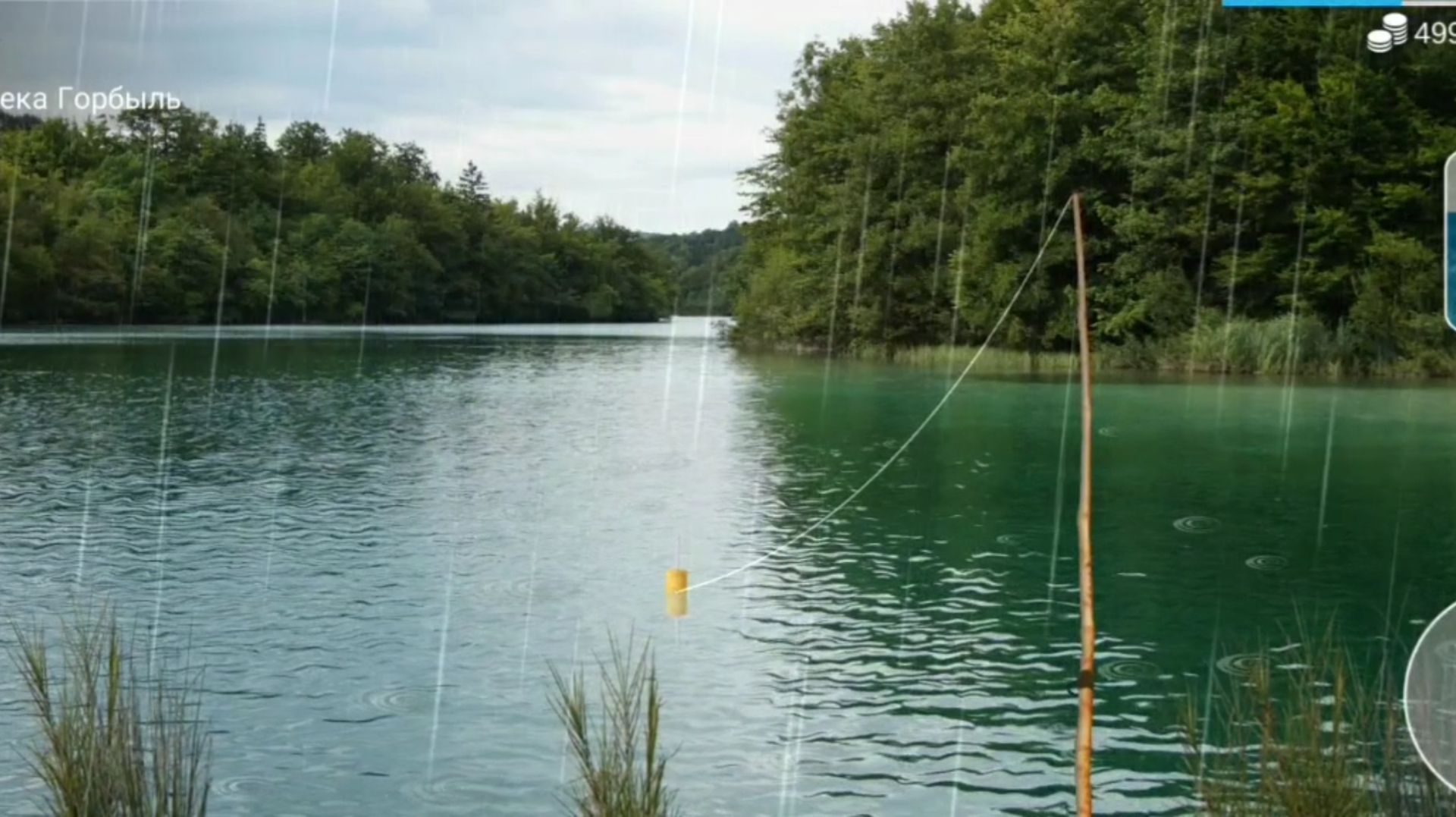 Рыбалка, мой первый опыт